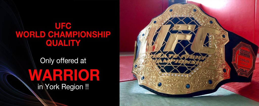 Home Warrior Mixed Martial Arts Newmarket And Aurora Karate Warrior Mixed Martial Arts Mma Karate Bjj Brazilian Jiu Jitsu Muay Thai Kickboxing Day Care After School Program Summer Camp Newmarket S Largest